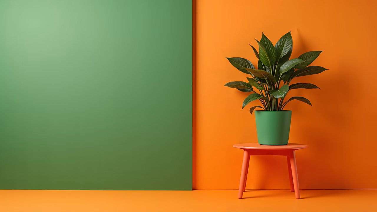 Vibrant green plant on orange stool, contrasting colors, modern interior design.