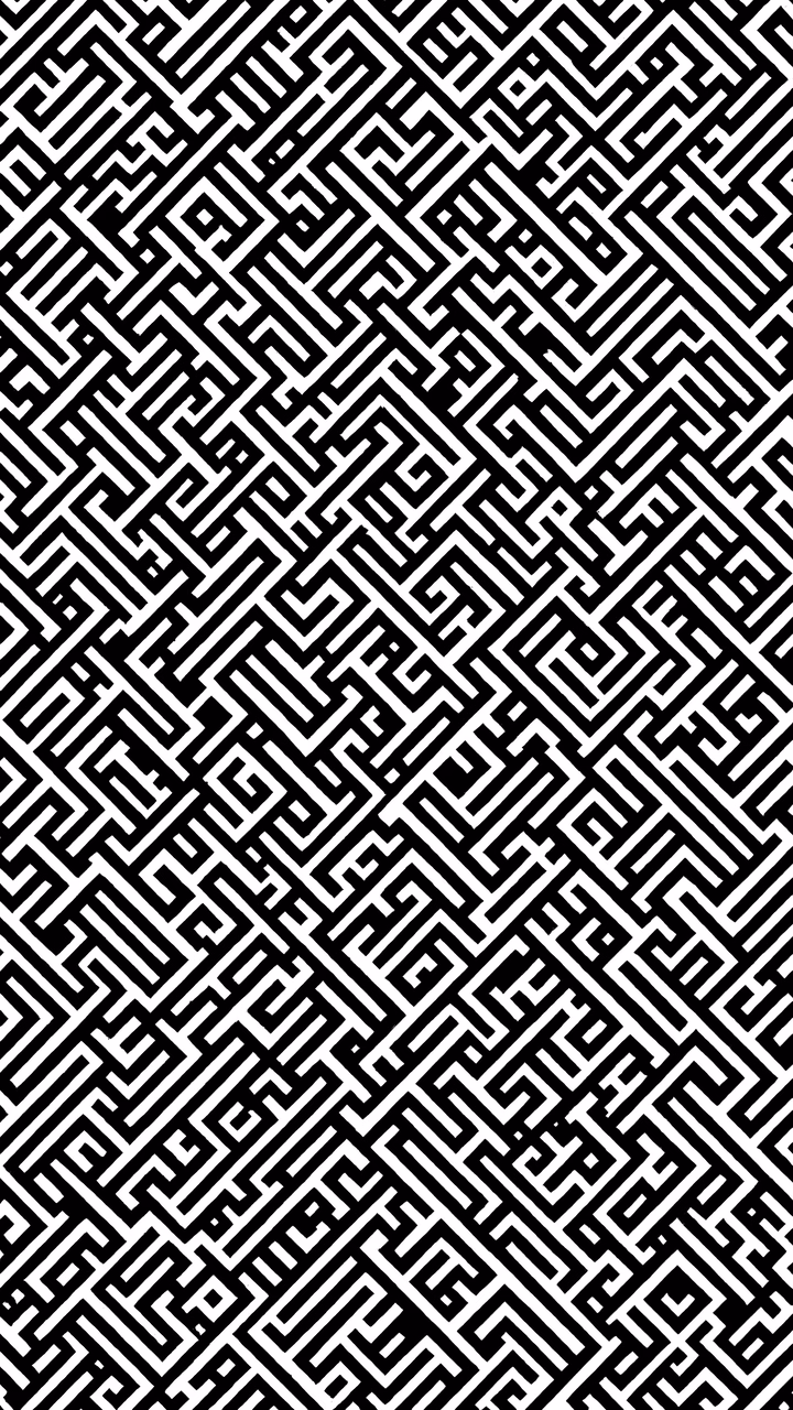 Abstract maze pattern with high contrast and geometric precision.