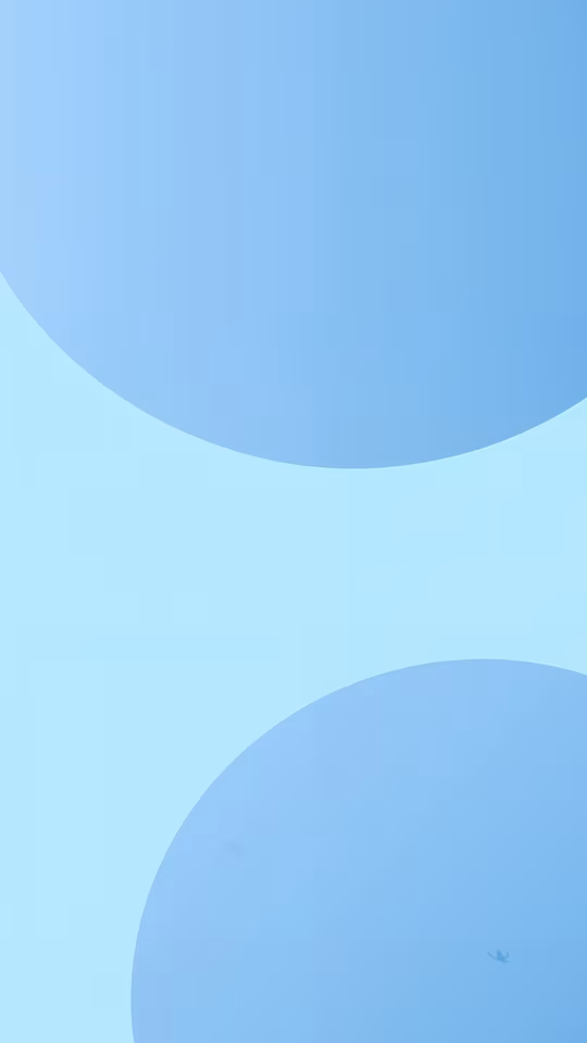 Minimalist Blue Circles