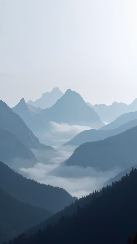 Mountain Mist