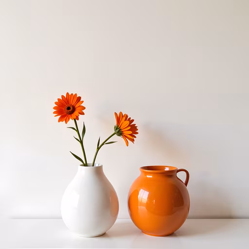 Orange Flowers in Contrast
