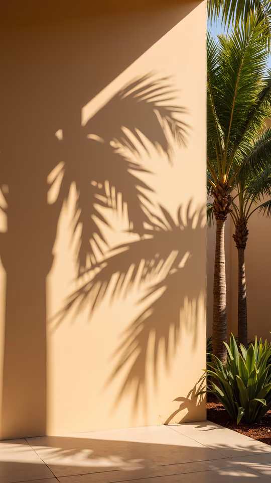 Palm Shadows