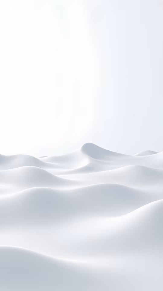 Snowy Landscape