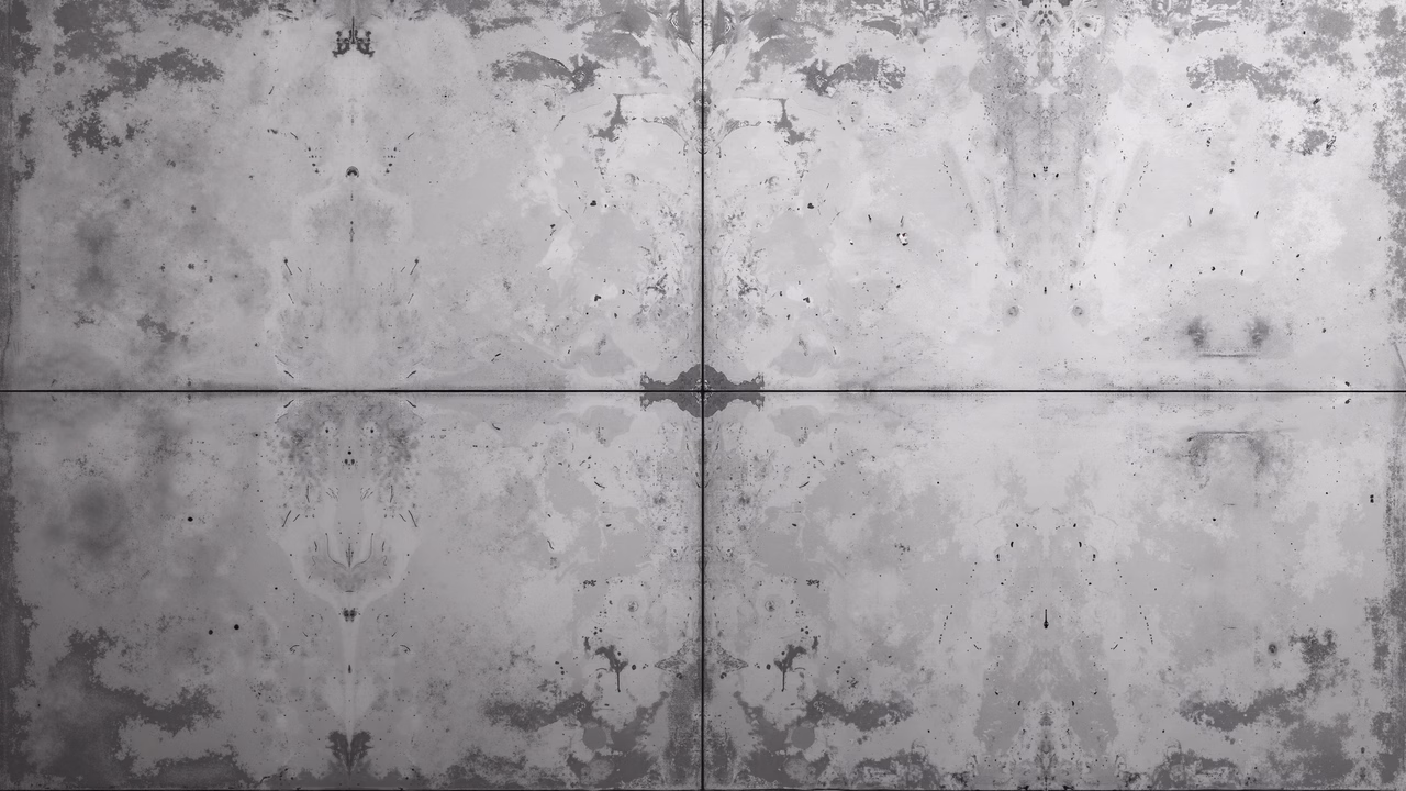 Symmetrical grayscale illustration with intricate textures and patterns.