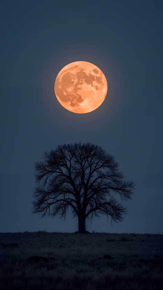 Full Moon Over Solitary Tree