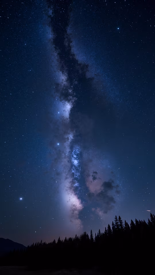Milky Way Over Forest
