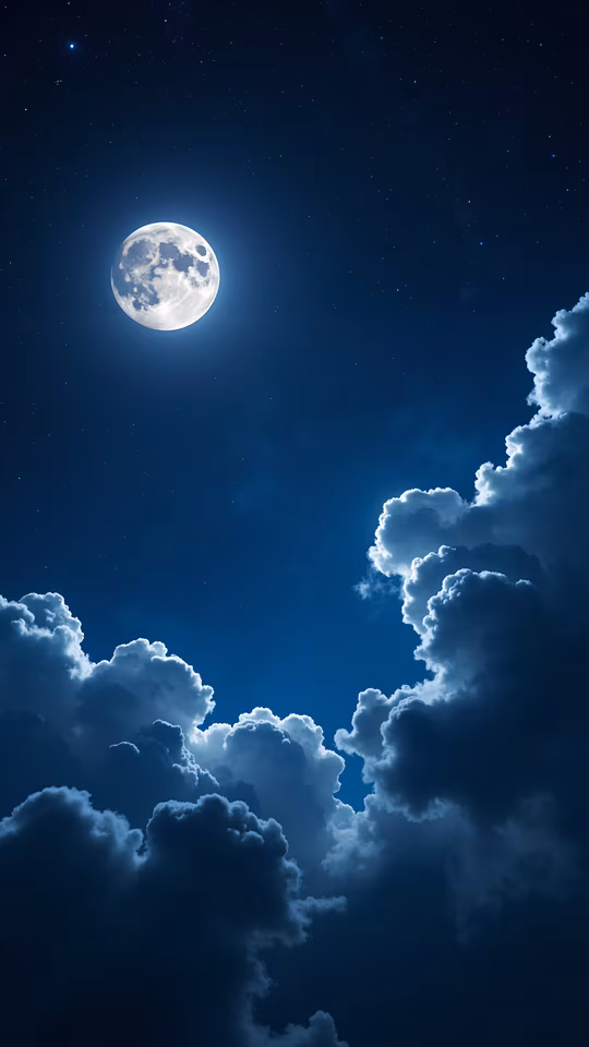 Moonlit Night Illustration