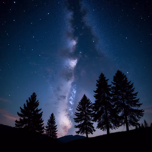 Night Sky with Pine Trees