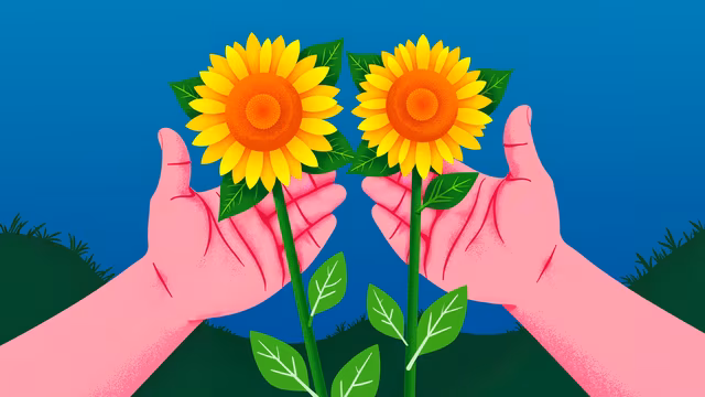 Sunflowers in Hands