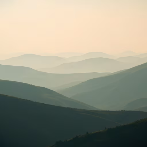Misty Hills
