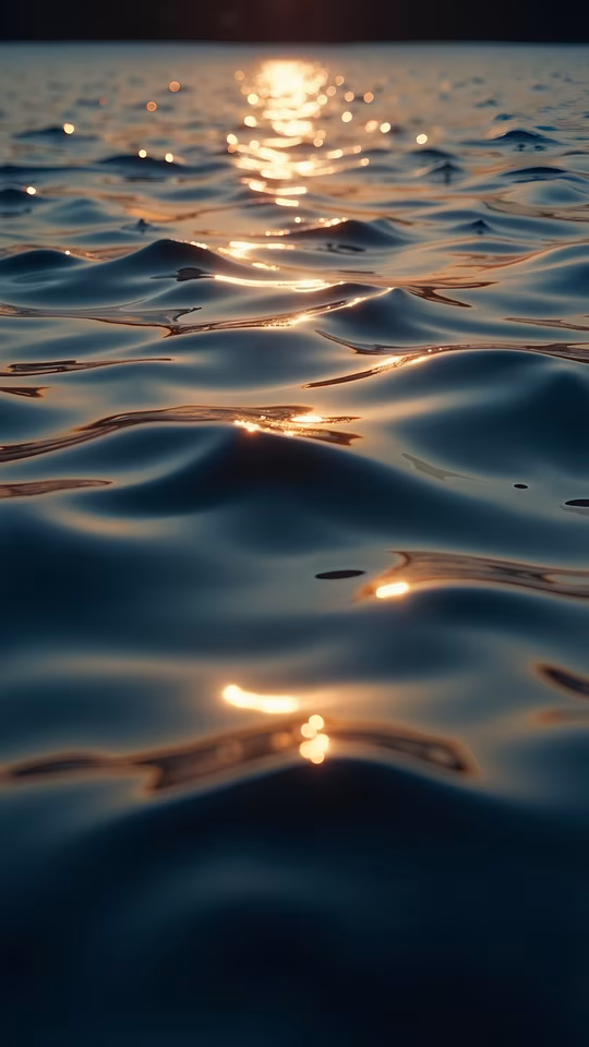 Sunlit Water Reflections