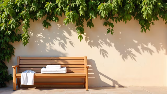 Bench Under Shadows
