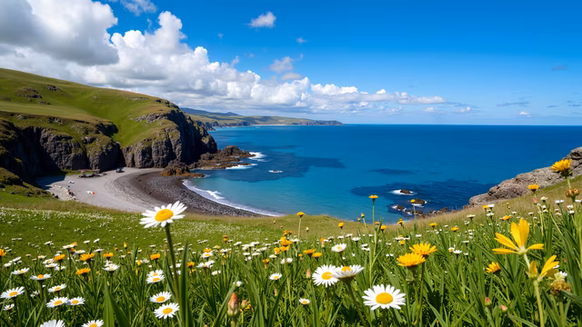 Coastal Serenity