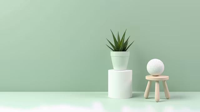 Minimalist Plant Arrangement