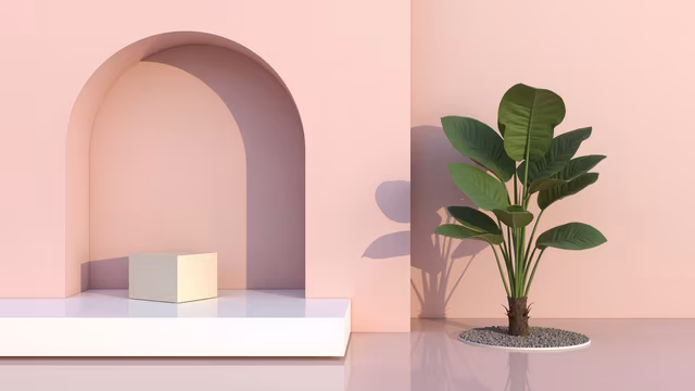 Minimalist Podium with Plant