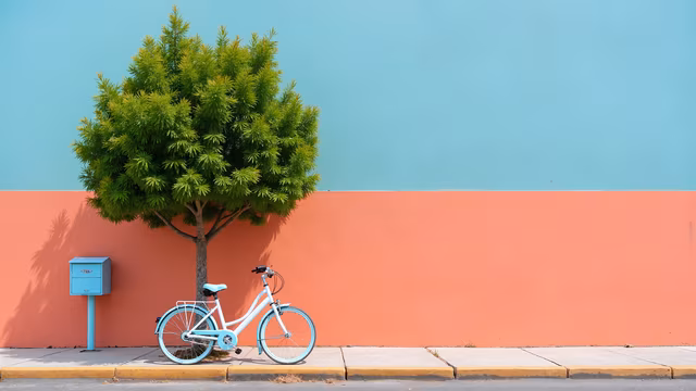 Tree and Bicycle Against Colorful Walls