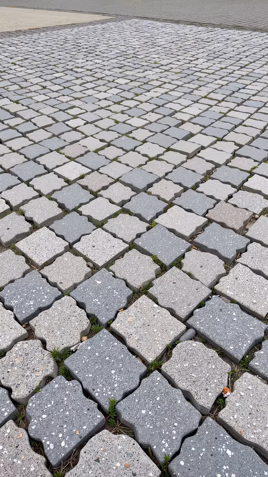 Paved Pathway
