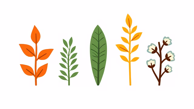 Plant Illustrations