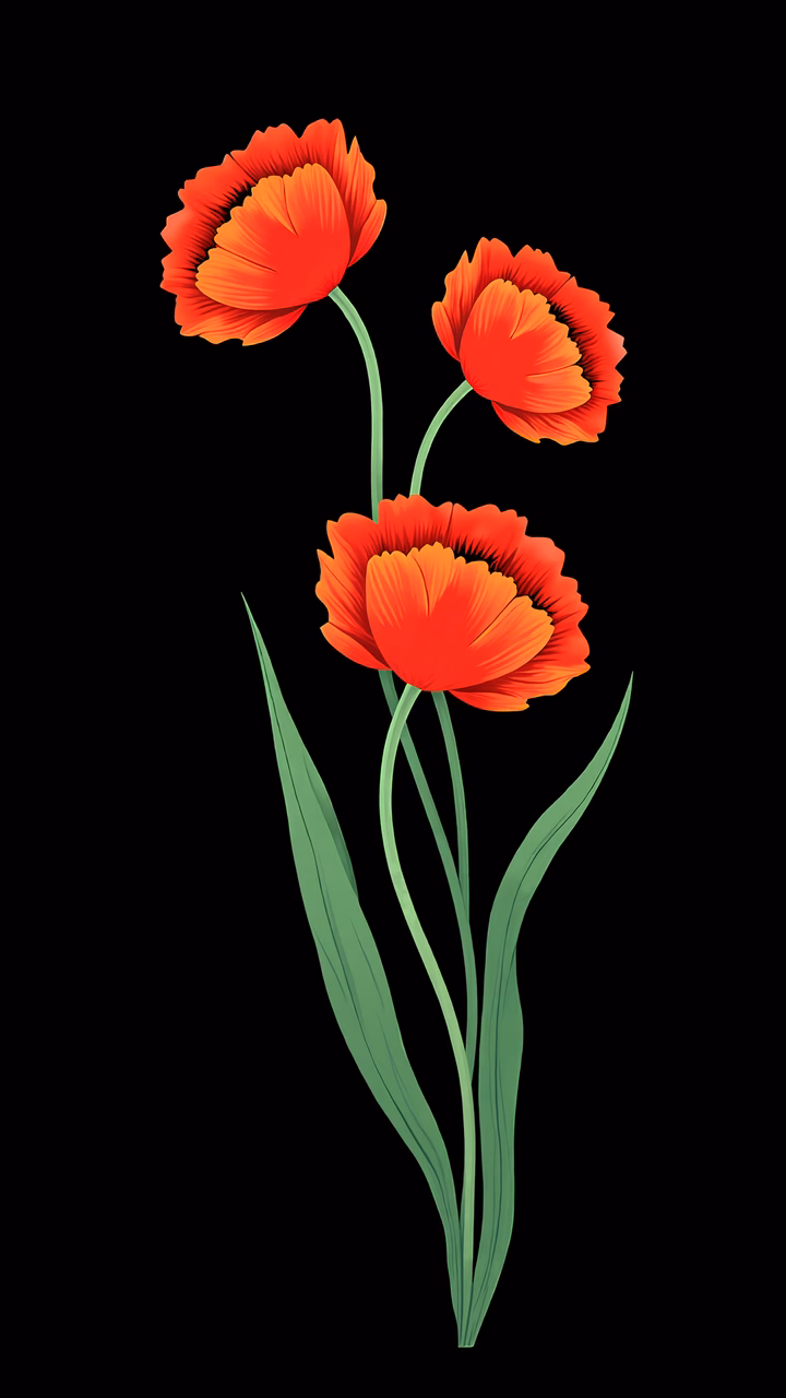 Vibrant red tulips on a black background, showcasing floral artistry.