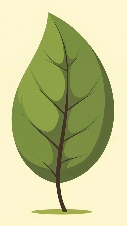 Simple Leaf Illustration
