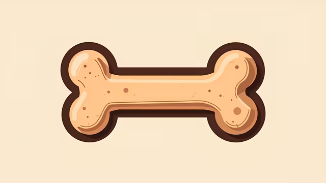 Bone Illustration