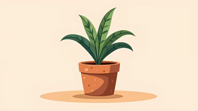 Illustrated Plant in Pot