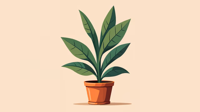 Potted Plant Illustration