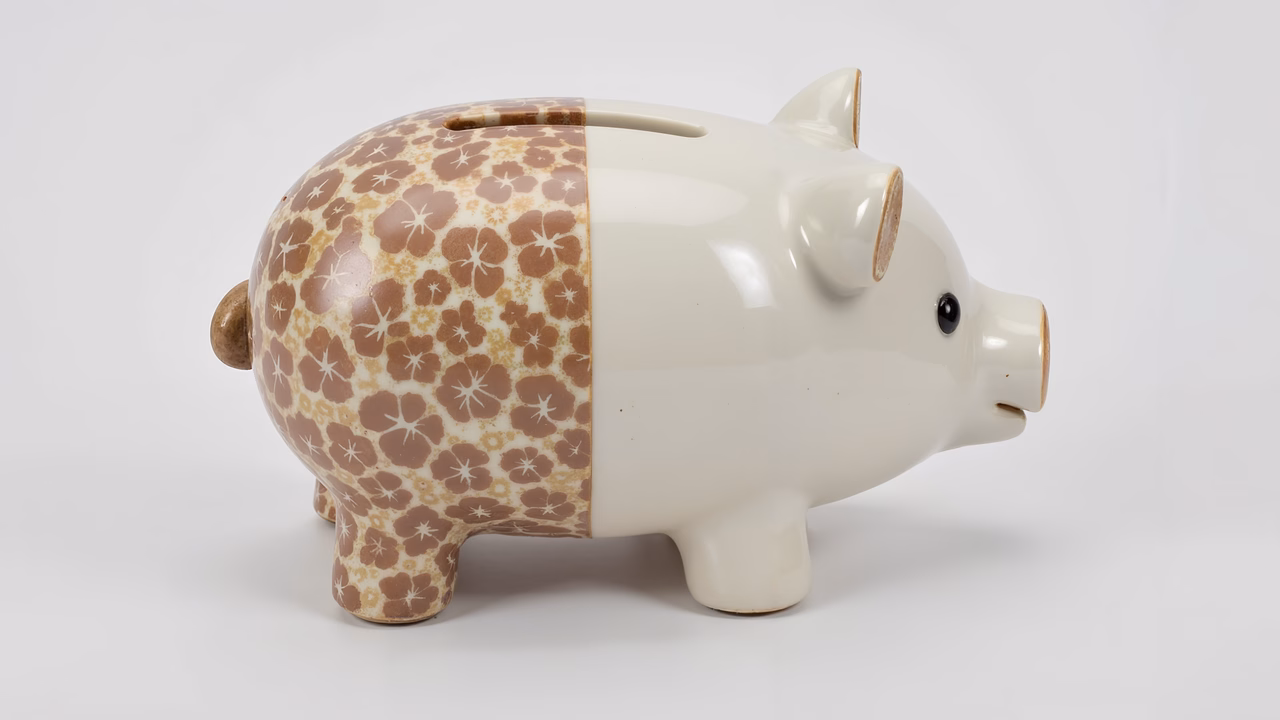 A stylish piggy bank with a floral pattern on a white background.