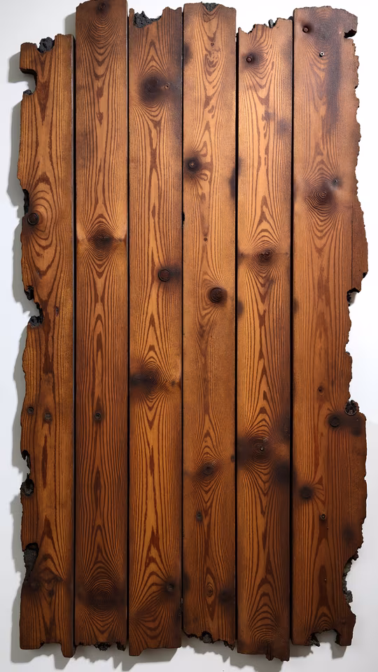 Burnt Wood Planks