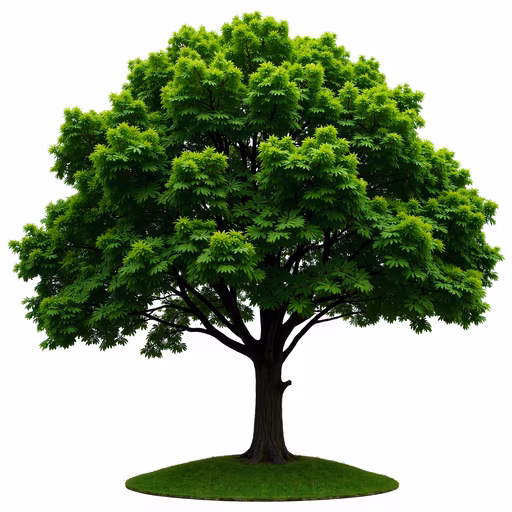 Lush Green Tree Illustration