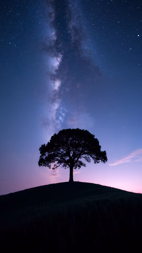 Silhouette Tree Under the Milky Way