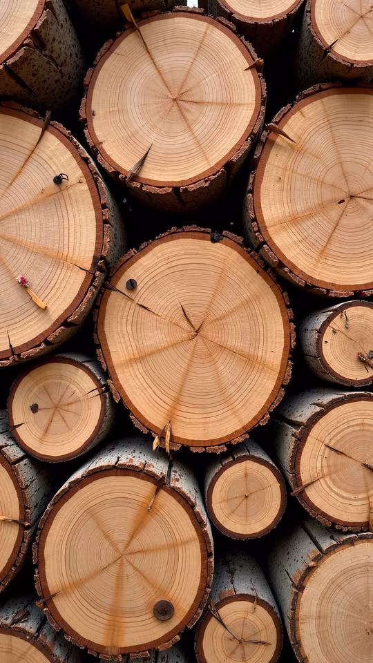 Stacked Wood Slices