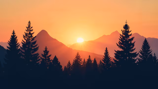 Sunset Silhouette