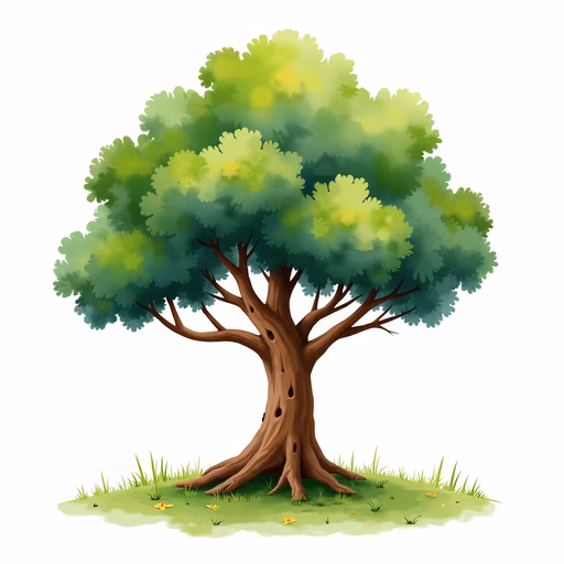 Lush Green Tree Illustration