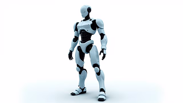 Robotic Companion