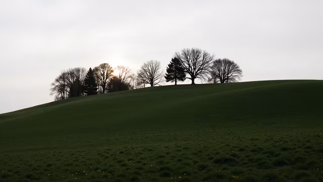 Silhouette Landscape