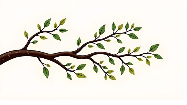 Tree Branch Illustration