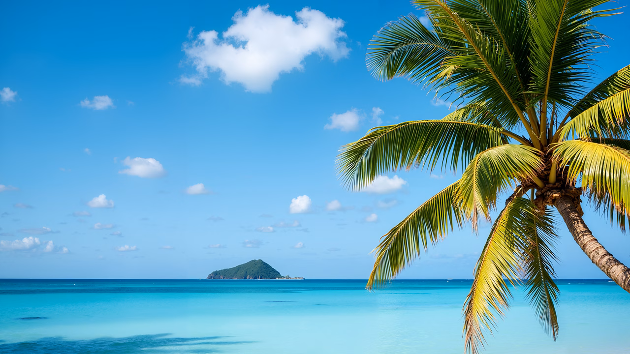 A tranquil tropical beach with turquoise waters and a palm tree.