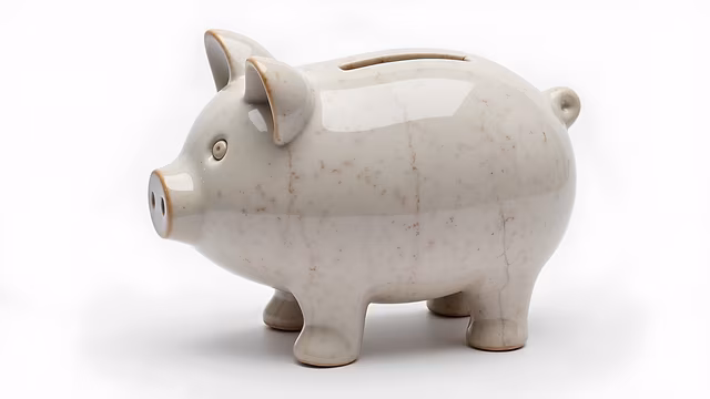 White Ceramic Piggy Bank