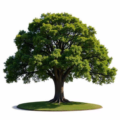 Lush Green Tree Illustration