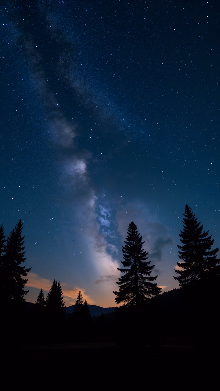 Silhouetted pine trees under a starlit sky, evoking peace and awe.