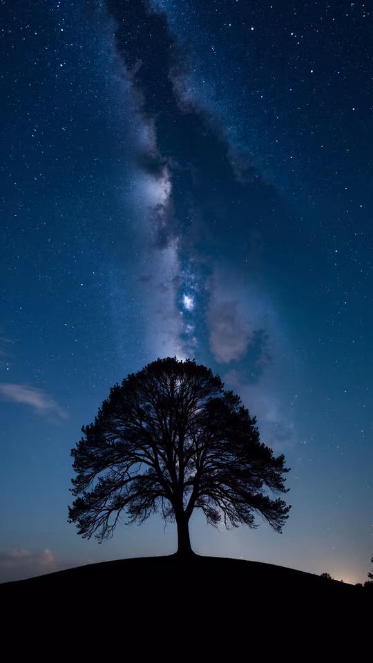 Silhouette Tree Under the Milky Way