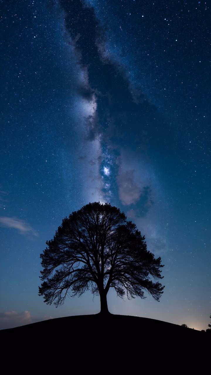 A solitary tree under the majestic Milky Way, capturing the beauty of the night sky.