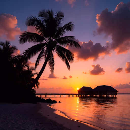 Sunset Paradise