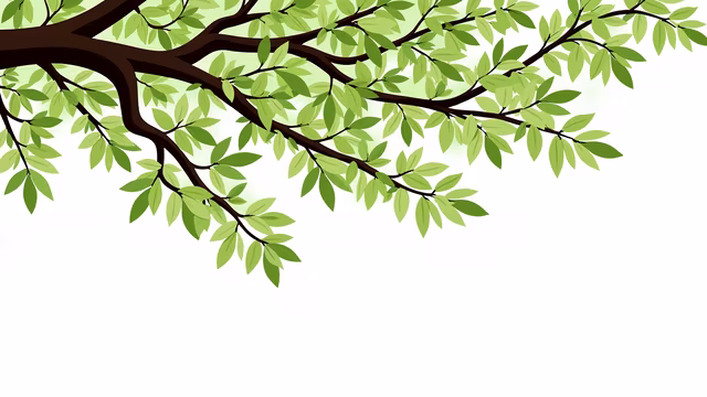 Tree Branch Illustration