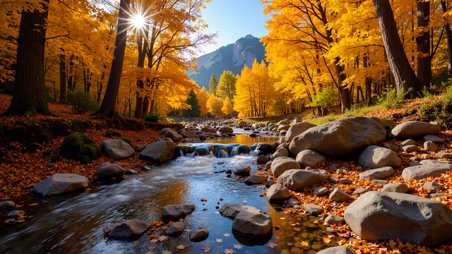 Golden Autumn Stream