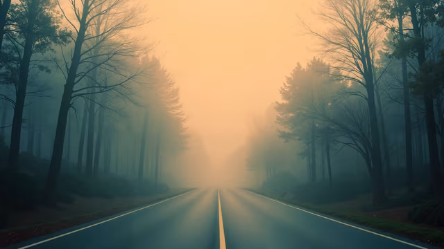 Misty Road