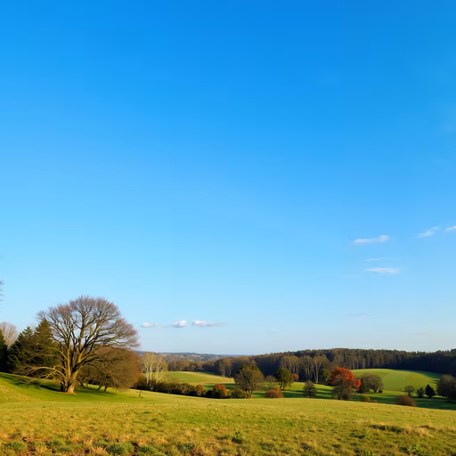 Pastoral Landscape