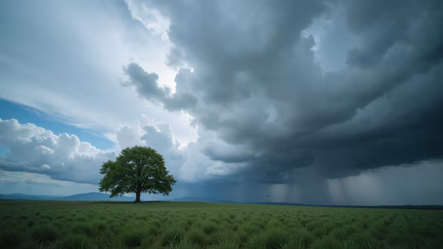 Solitary Tree Under Stormy Sky