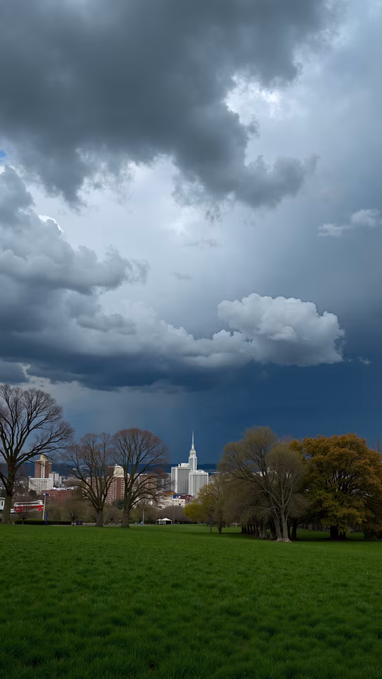 Stormy Park